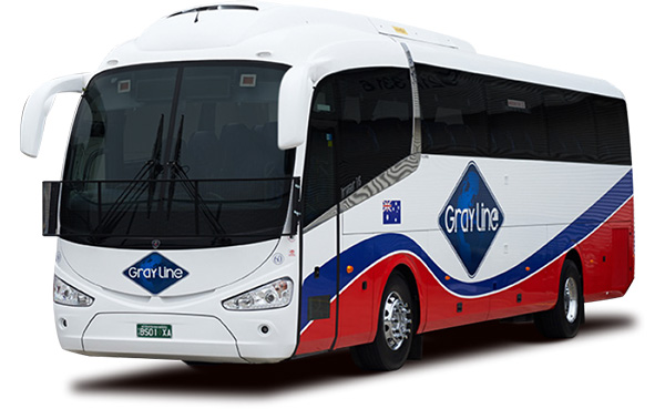Gray Line 48 seat coach