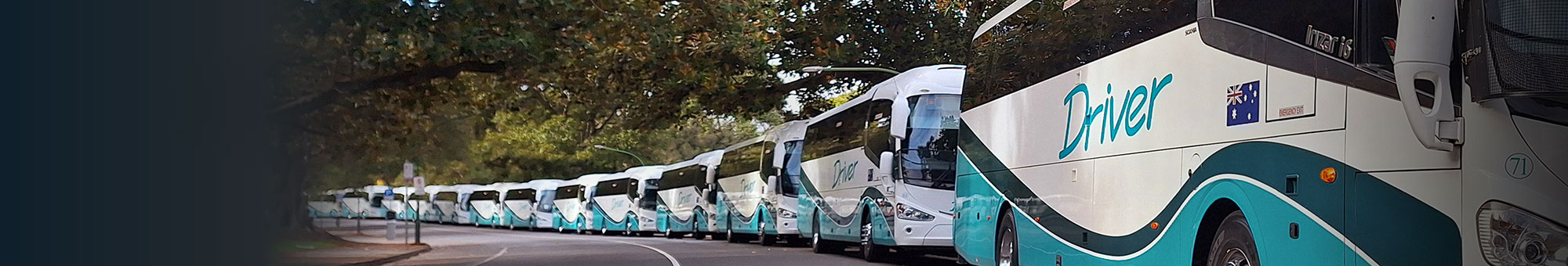 driver bus lines buses line up